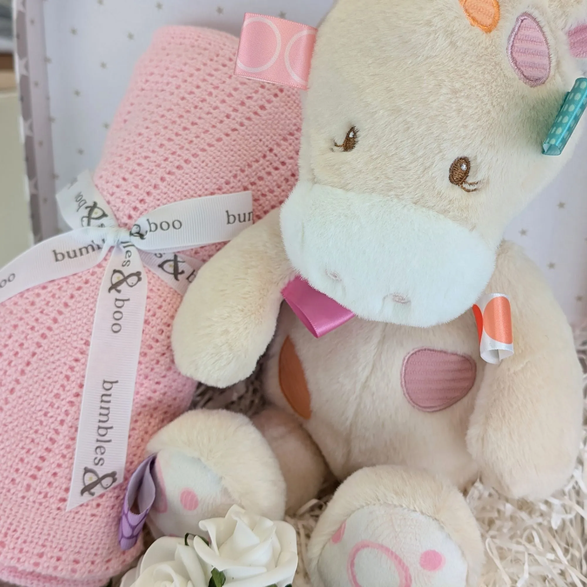Baby Girl Gifts Hamper Colours Of Sherbert Taggie Giraffe