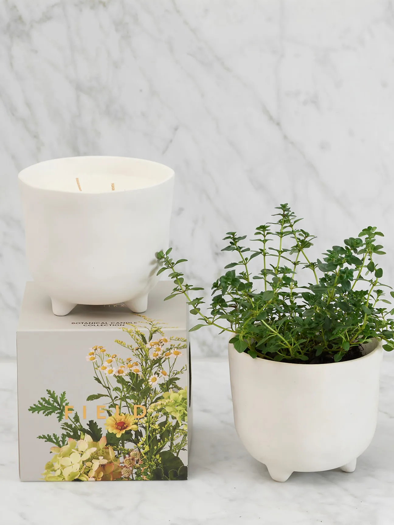 Botanical Reusable Pot Candle