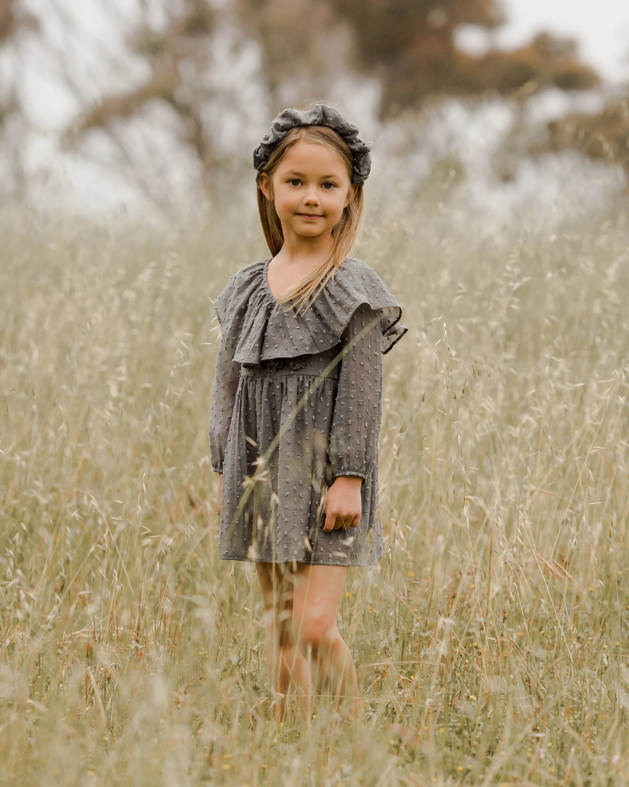 Claudette Dress (chambray)