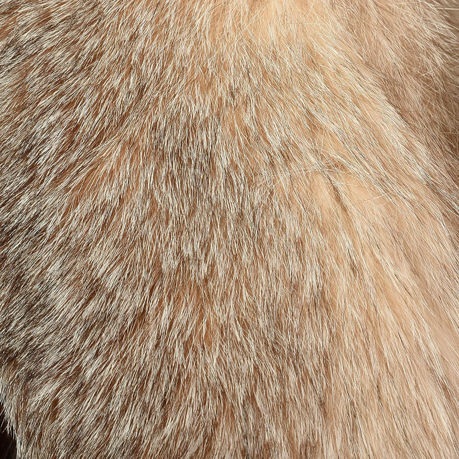 Medium 1980s Brown Long Hair Beaver Fur Coat