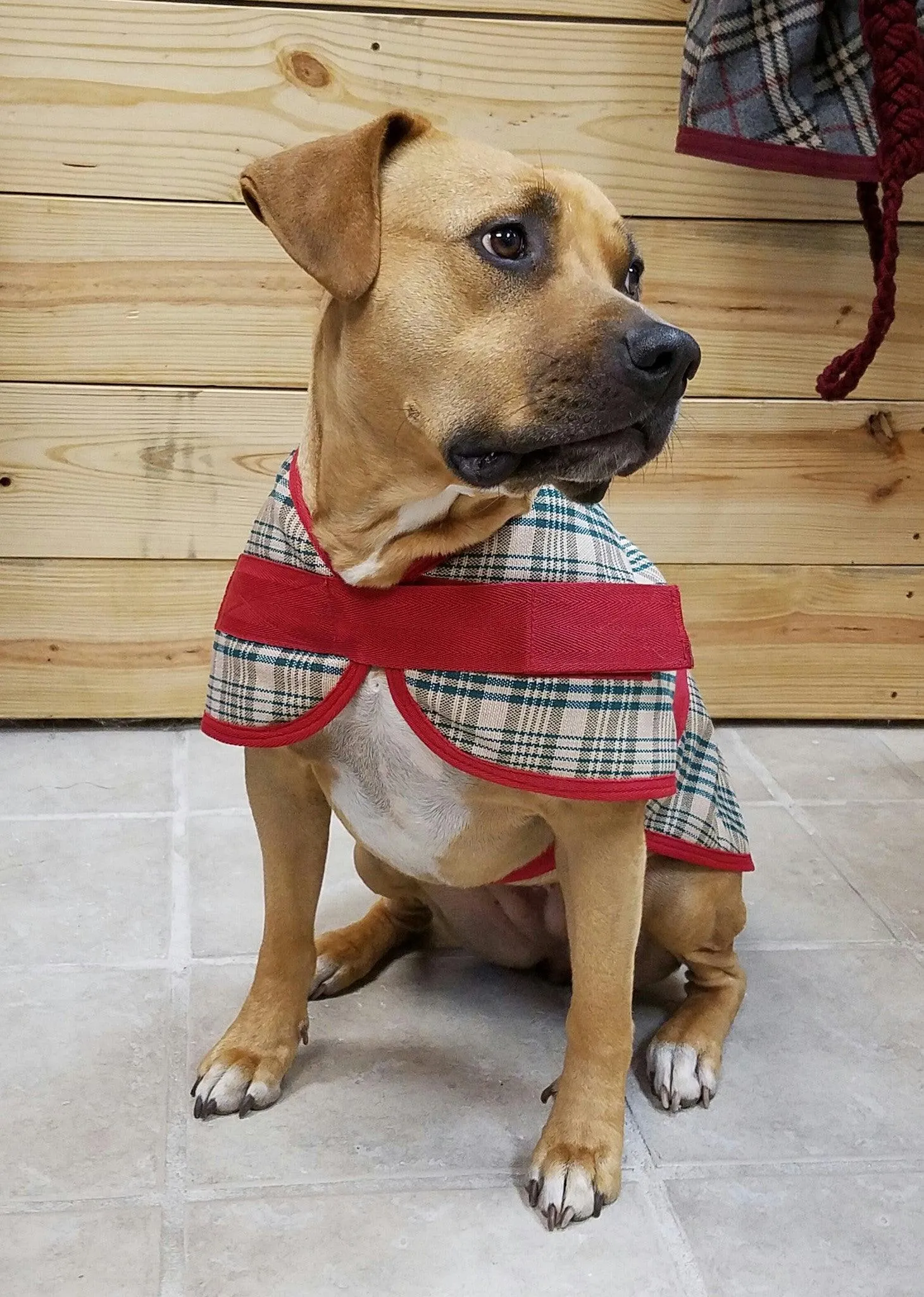 Personalized Dog Blanket - Tartan Plaid
