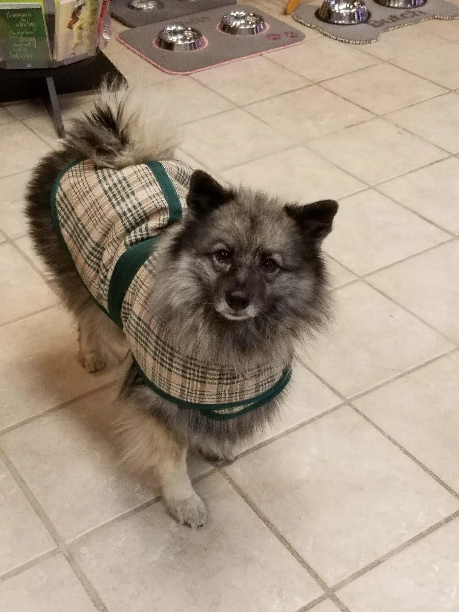 Personalized Dog Blanket - Tartan Plaid