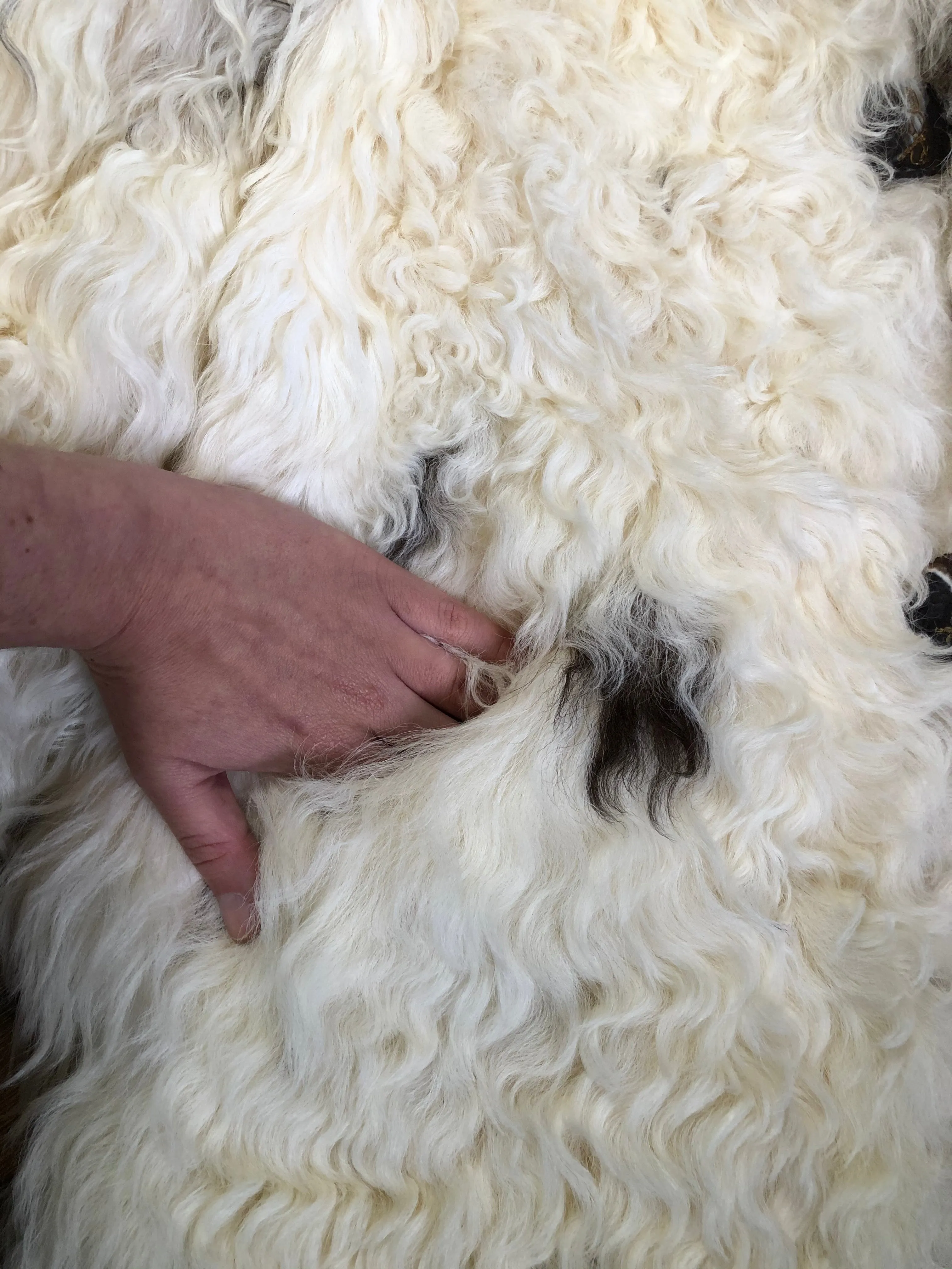 Vintage Mongolian Sheepskin Coat, SOLD