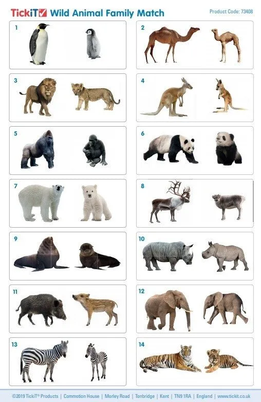 Wild Animal Family Match - Pk28