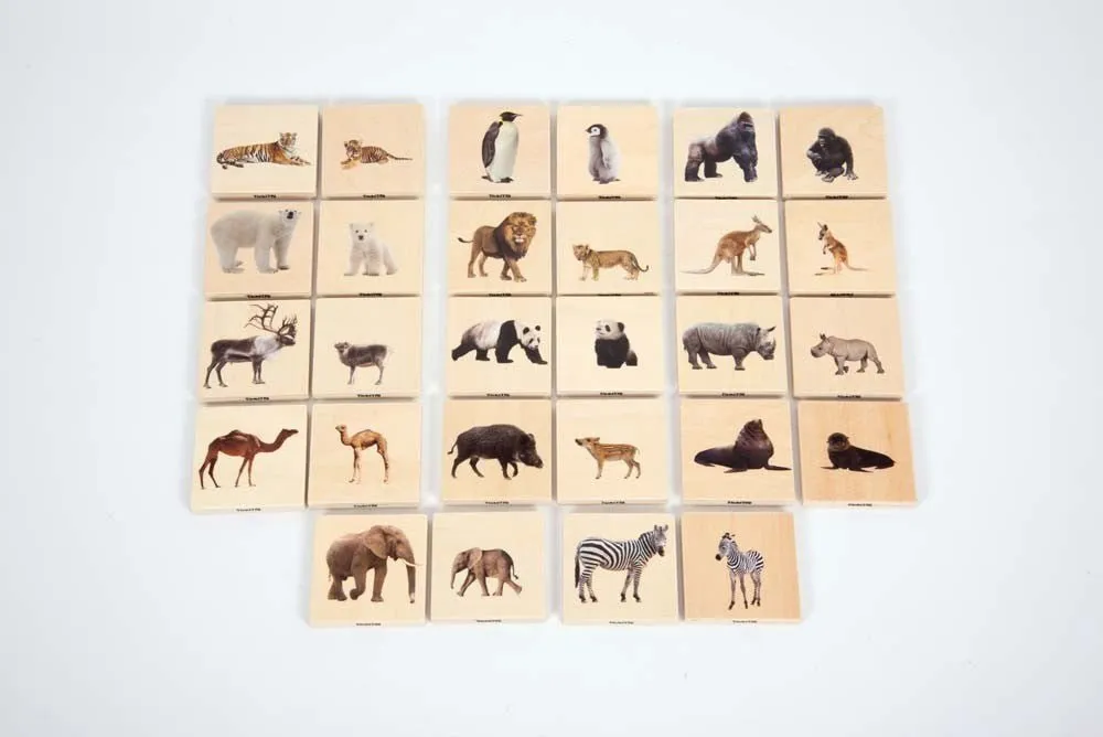 Wild Animal Family Match - Pk28