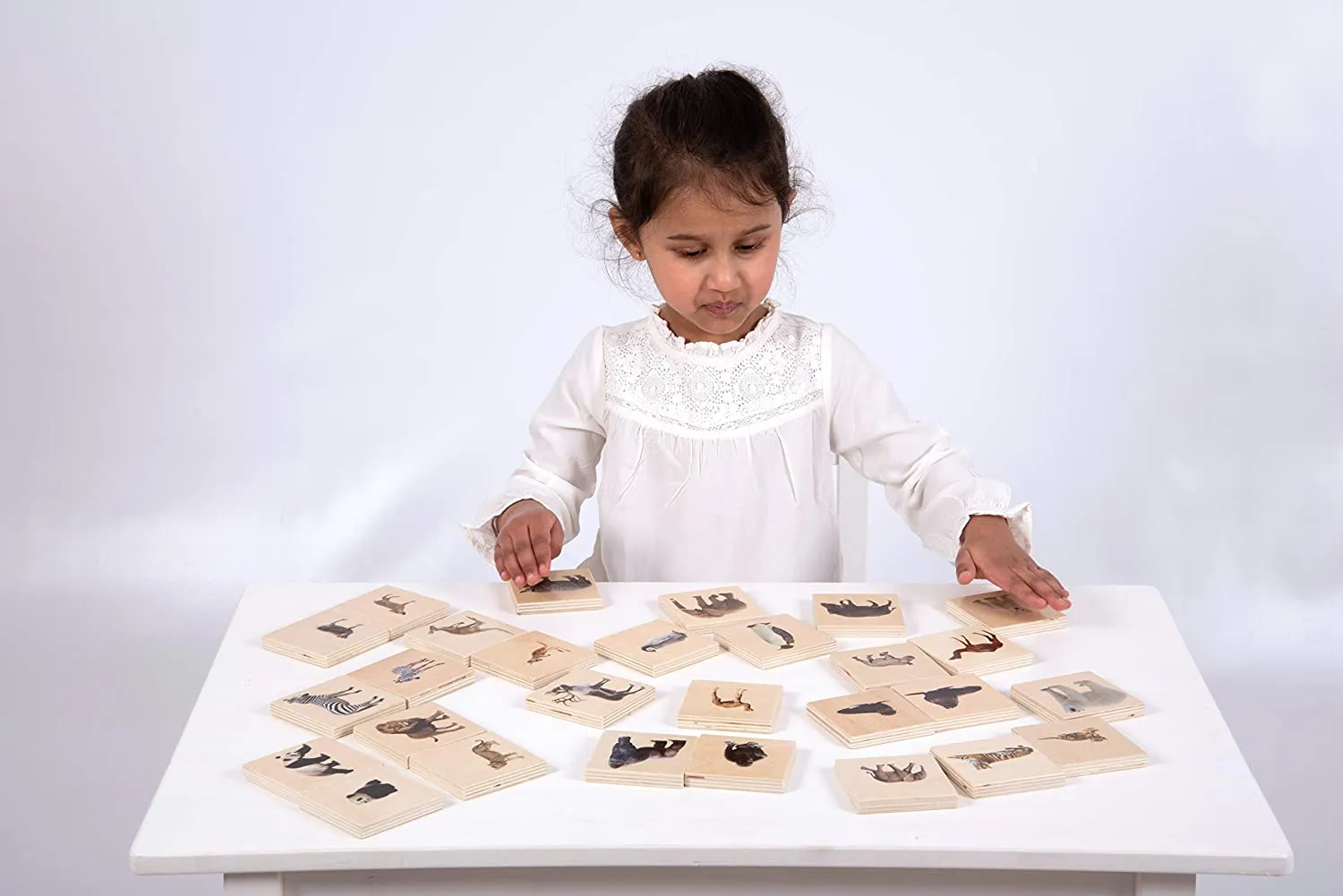 Wild Animal Family Match - Pk28